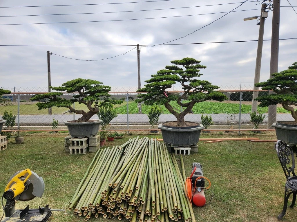 建仁寺竹籬笆 | 日式竹圍籬工程