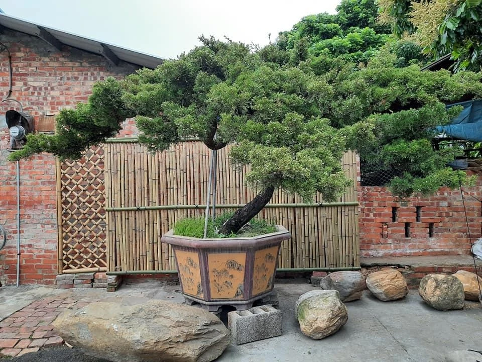 花壇曹公舘 | 景觀設計
