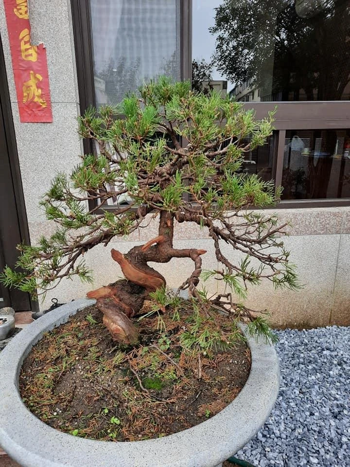 大里林公舘 | 景觀設計公司