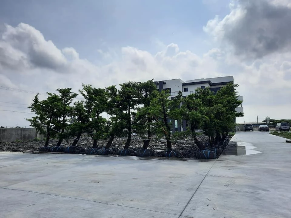 芳苑李公舘 | 園藝設計