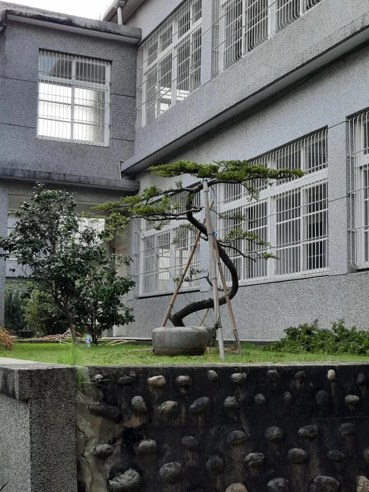嘉義彌陀寺2 | 庭園保養工程