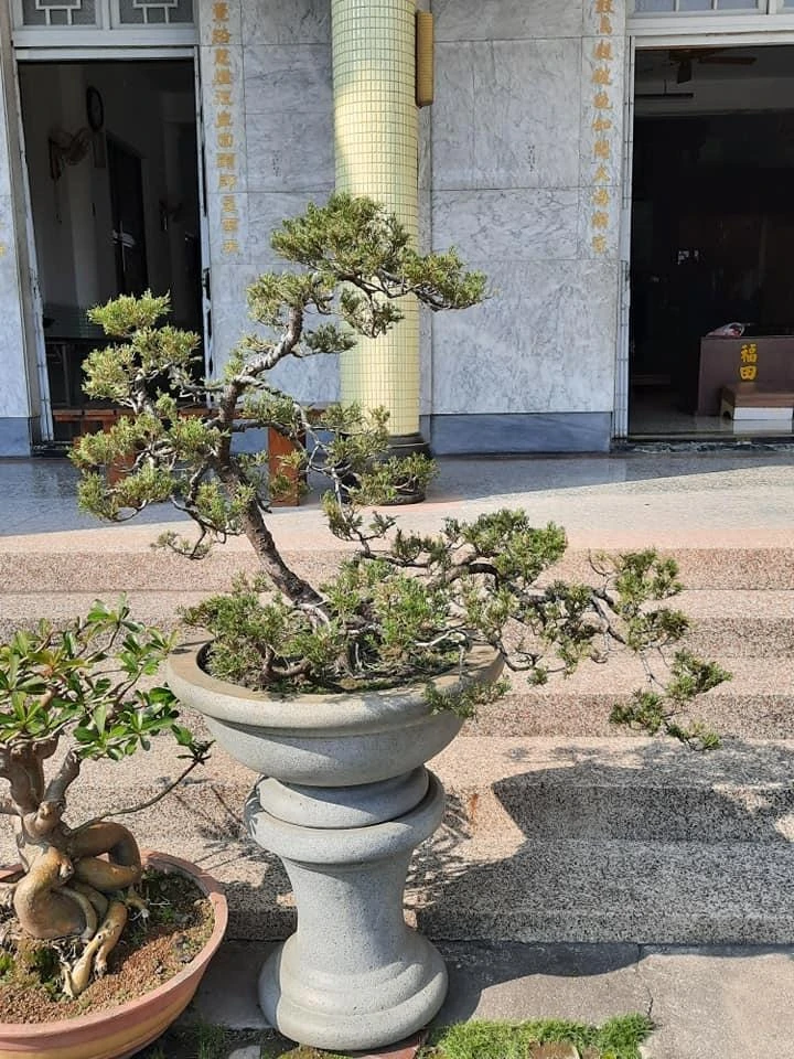 員林雙林寺1 | 彰化庭園養護