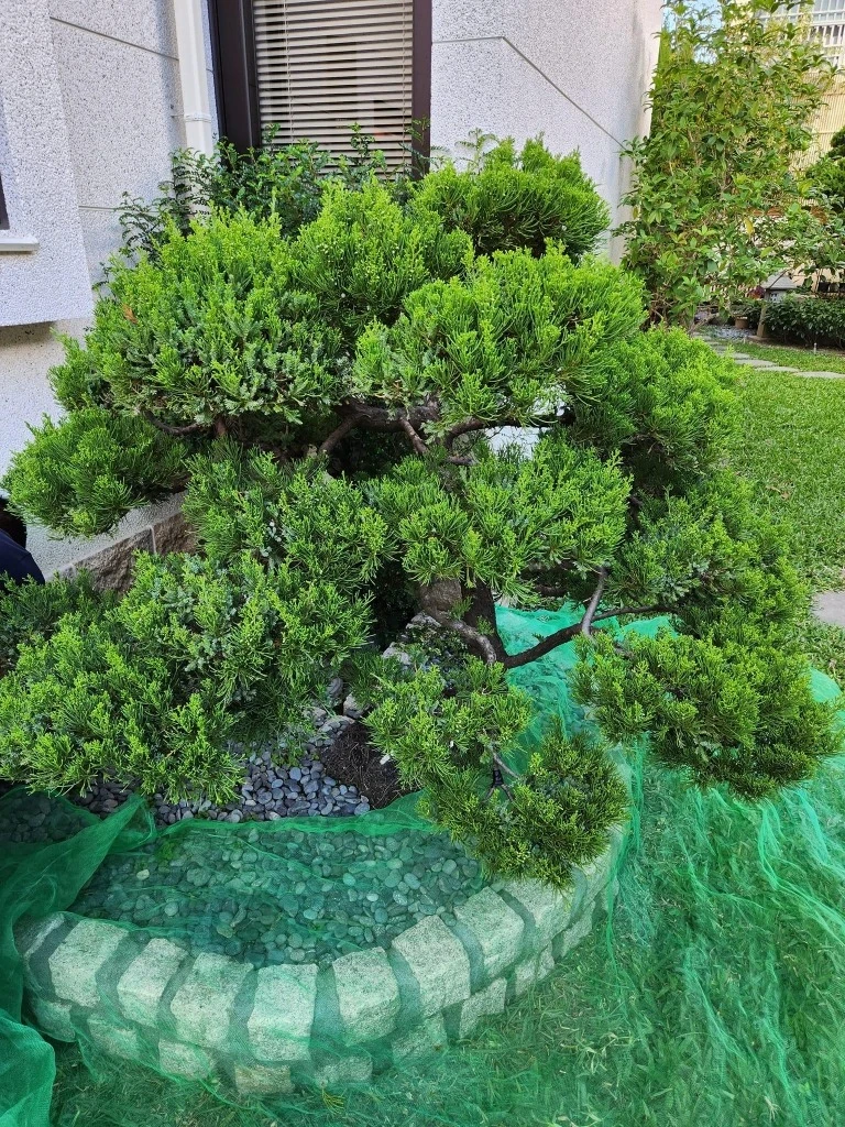 斗六張公舘 | 雲林庭園修剪