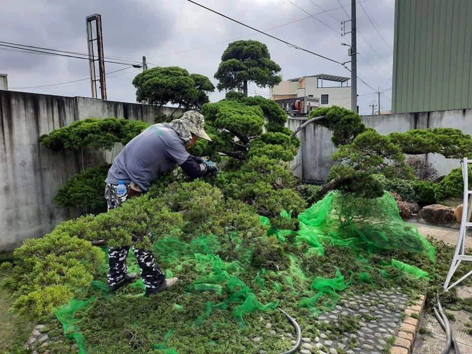 西螺豆皮工廠 | 庭園養護工程