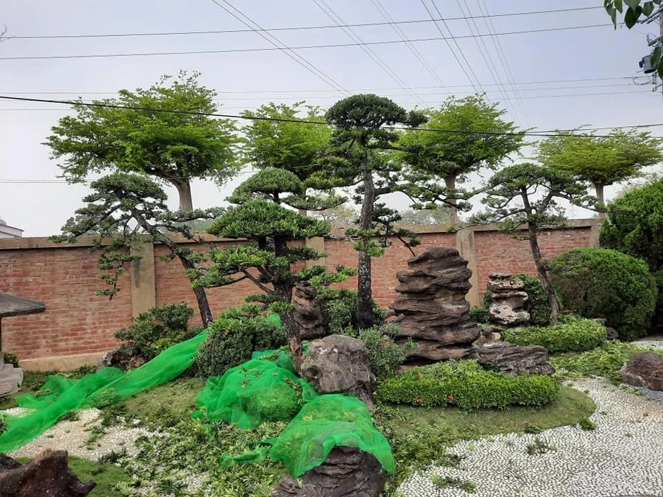 嘉義彌陀寺1 | 嘉義園藝景觀養護工程