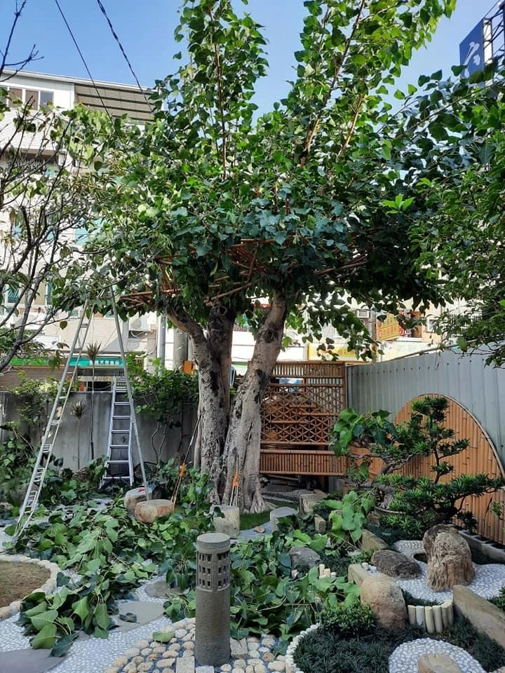 員林雙林寺 | 彰化庭園維護