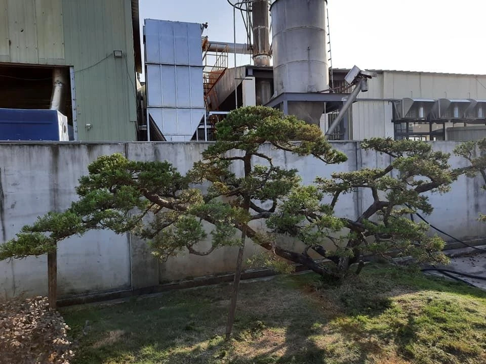 西螺豆皮工廠 | 庭園養護工程