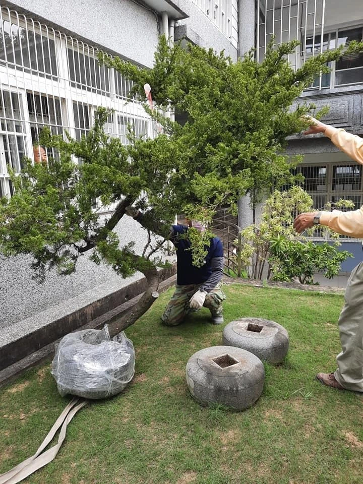 嘉義彌陀寺2 | 庭園保養工程