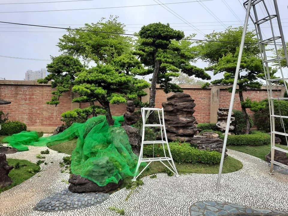 嘉義彌陀寺1 | 嘉義園藝景觀養護工程