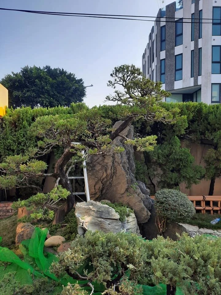 員林雙林寺1 | 彰化庭園養護
