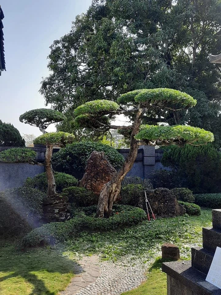 嘉義彌陀寺 | 嘉義庭園維護