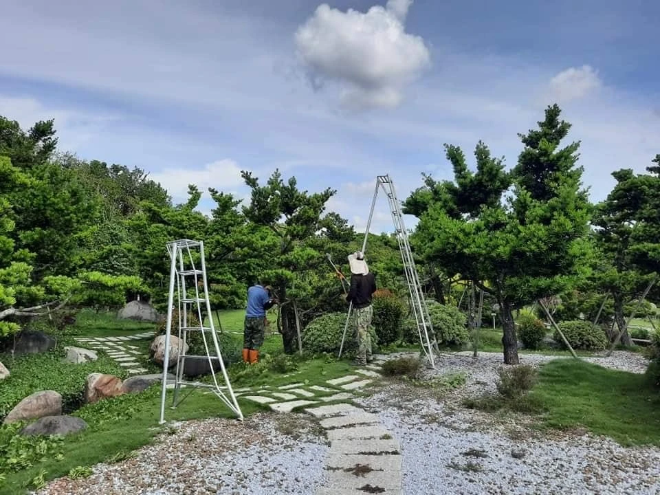 虎尾澄林沉香舘 | 雲林庭園維護