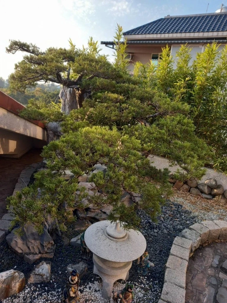 斗六張公舘 | 雲林庭園修剪