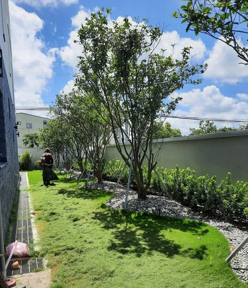 芳苑陳公舘 | 彰化庭園修剪