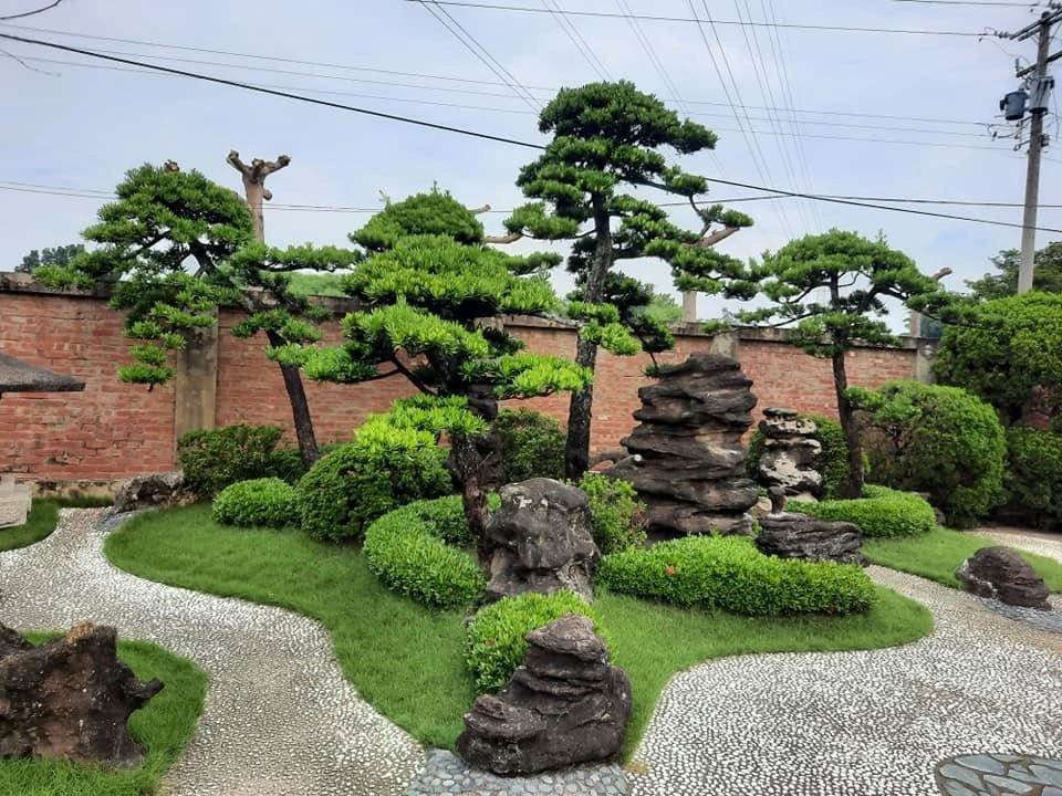 嘉義彌陀寺2 | 庭園保養工程
