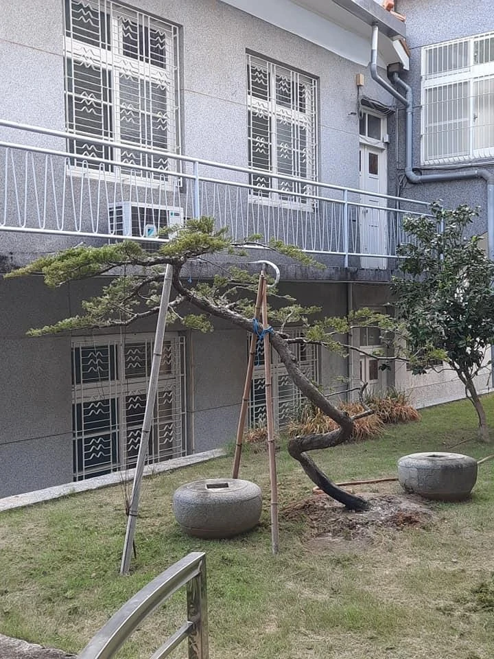 嘉義彌陀寺2 | 庭園保養工程