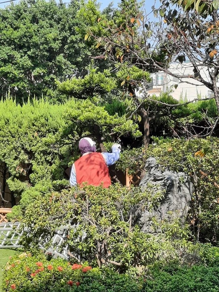 員林雙林寺 | 彰化庭園維護