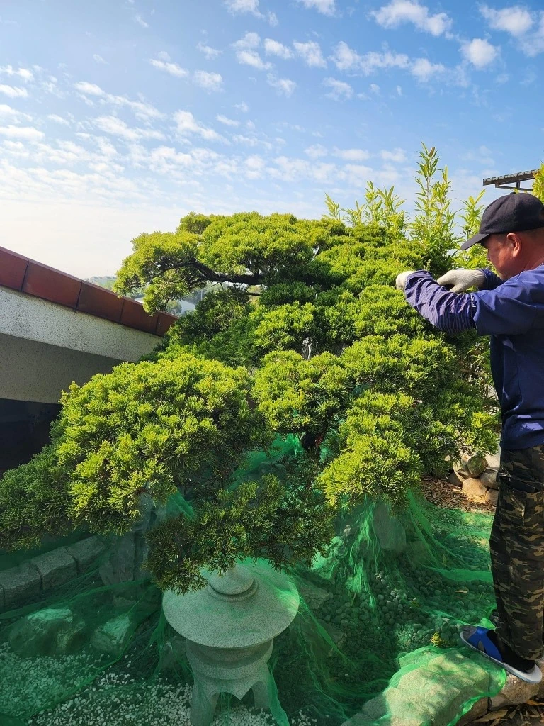 斗六張公舘 | 雲林庭園修剪