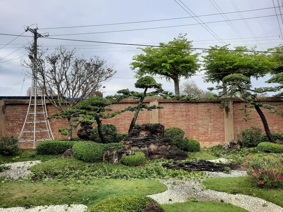 嘉義彌陀寺1 | 嘉義園藝景觀養護工程