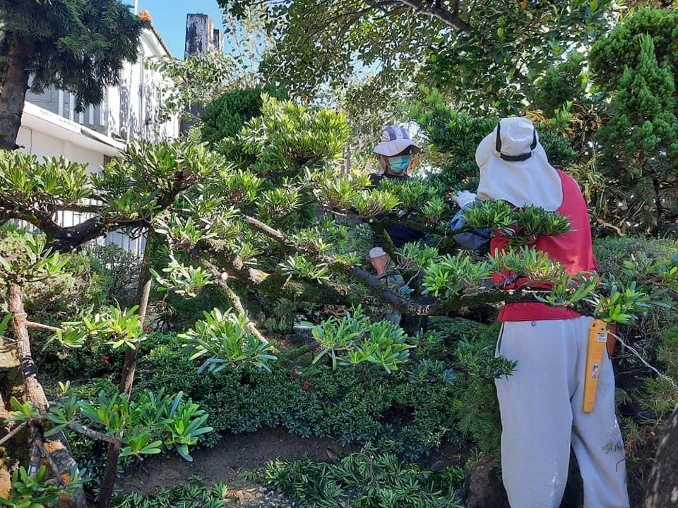 嘉義彌陀寺 | 嘉義庭園維護