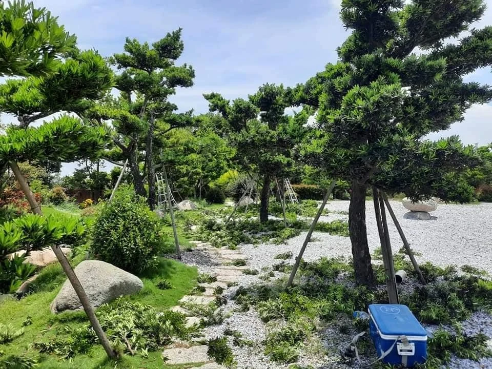 虎尾澄林沉香舘 | 雲林庭園維護
