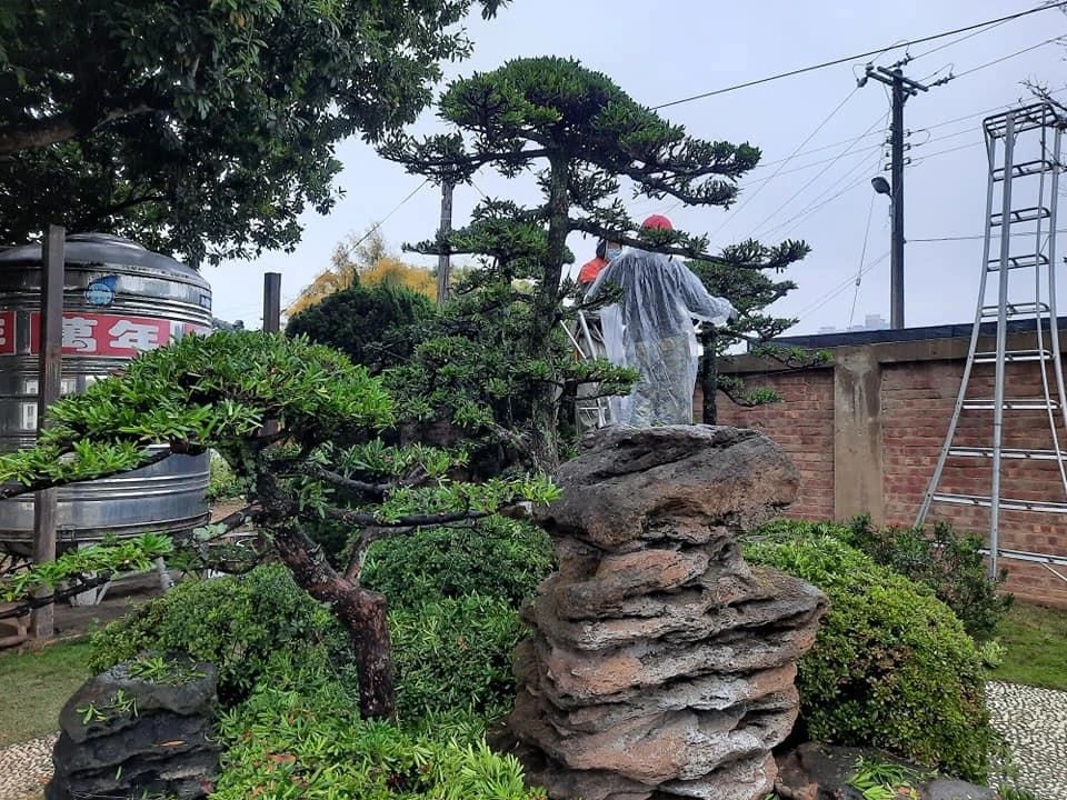 嘉義彌陀寺1 | 嘉義園藝景觀養護工程