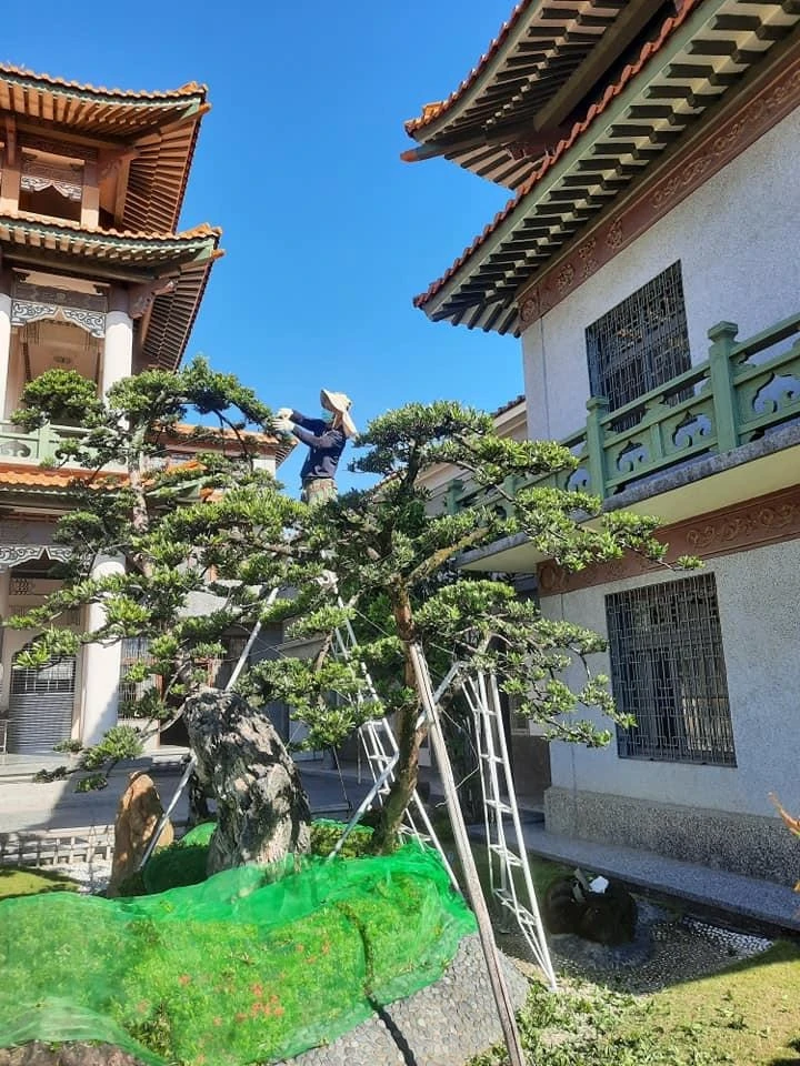 嘉義彌陀寺 | 嘉義庭園維護