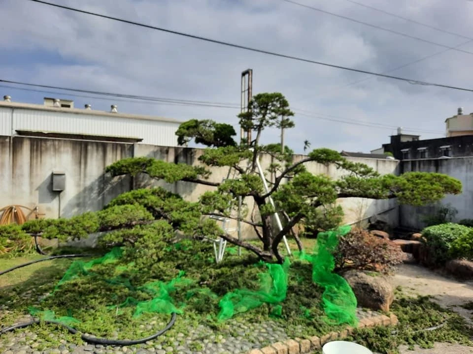 西螺豆皮工廠 | 庭園養護工程