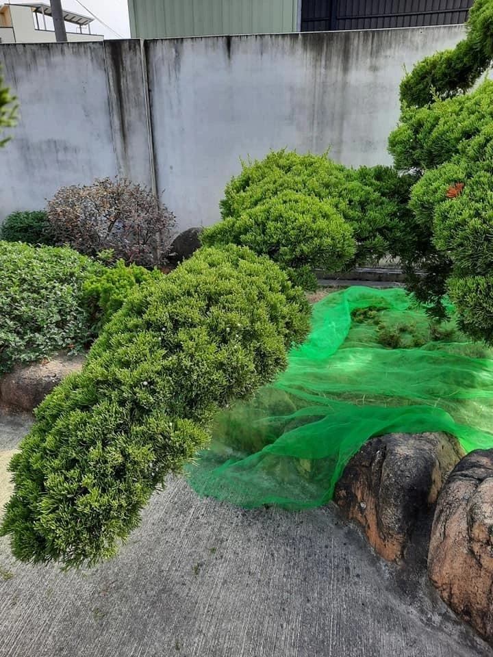 西螺豆皮工廠 | 庭園養護工程