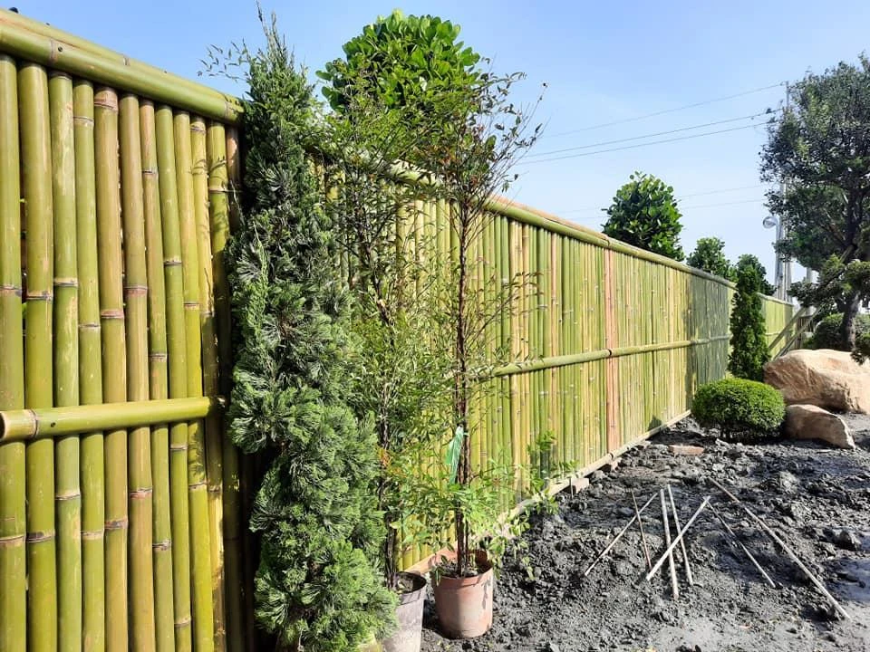 銀閣寺竹籬笆 | 日式竹籬笆造景