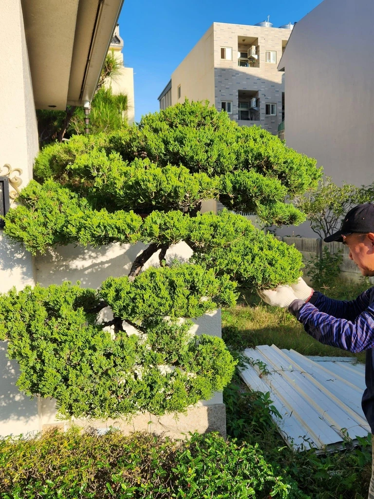 斗六張公舘 | 雲林庭園修剪