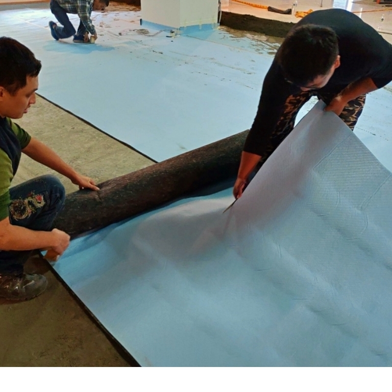 寧靜宅政策里程碑！都發局觀摩冠軍磁磚新辦隔音墊鋪設