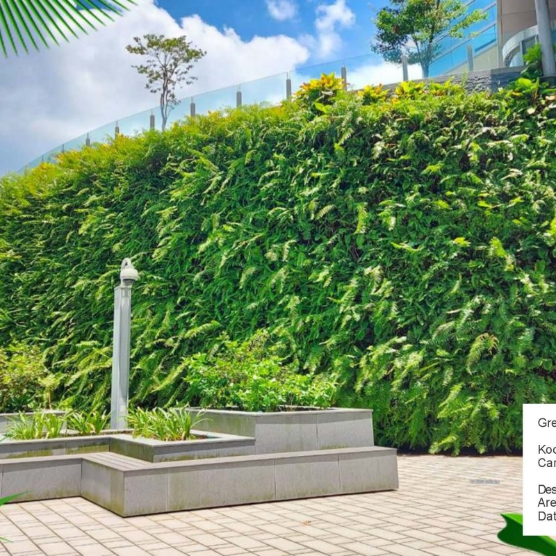 極品綠牆必不可少的花盆種植藍