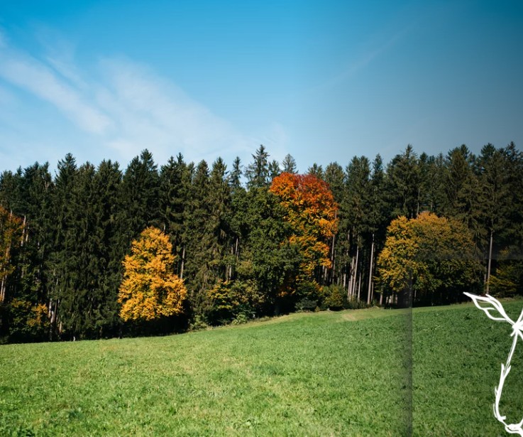 碳權，和我有關嗎？