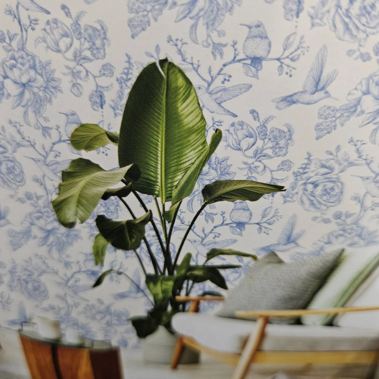 (一)壁紙