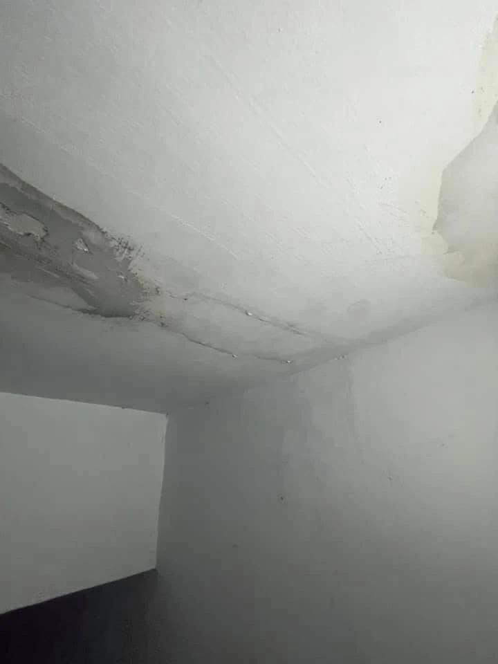 老屋翻新壁癌處理