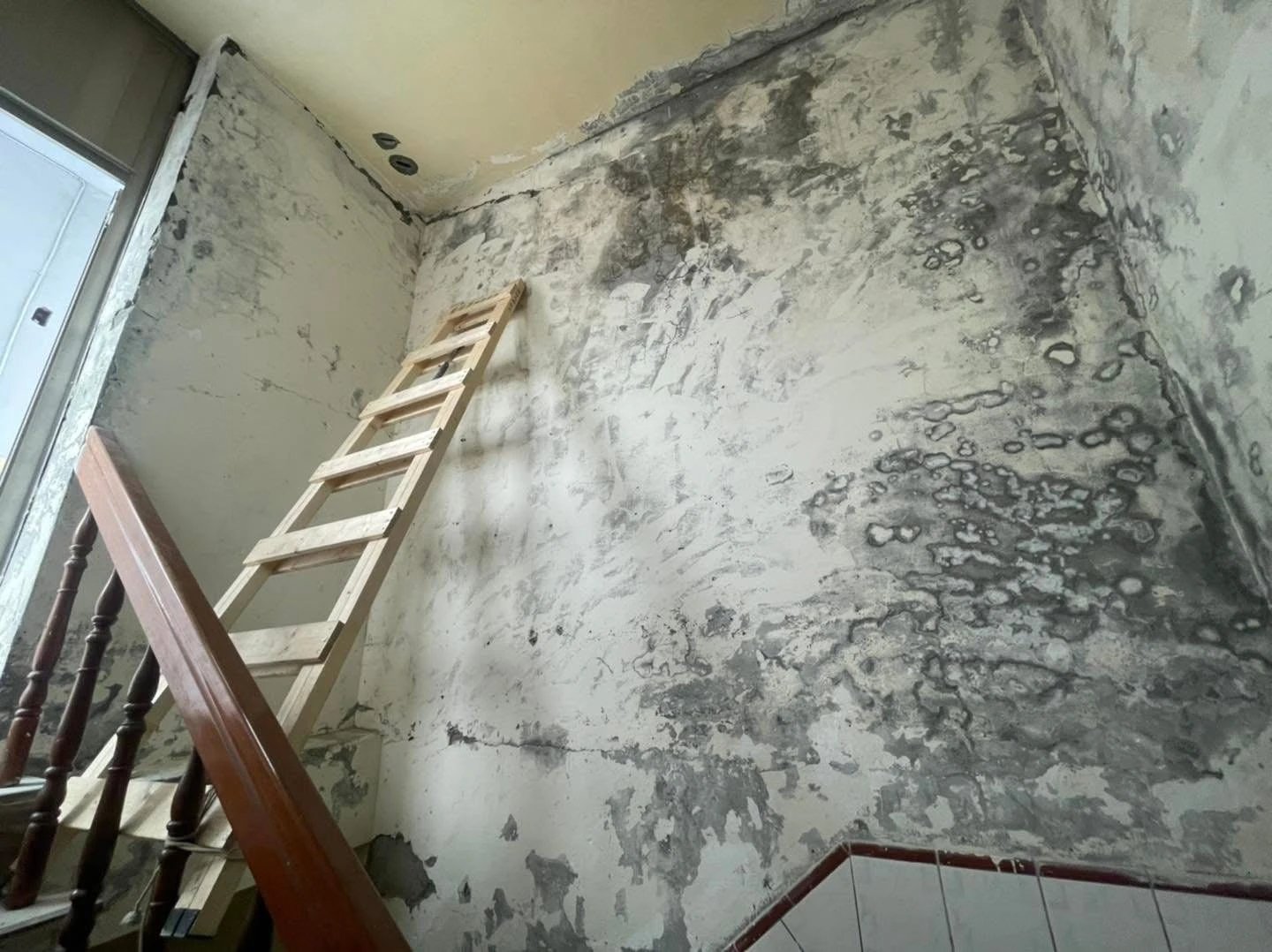 老屋翻新壁癌處理