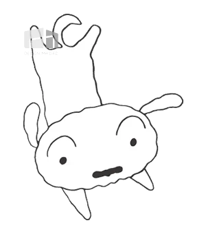 貓道設計全攻略：位置、高度、材料、動線與小坪數規劃一次看