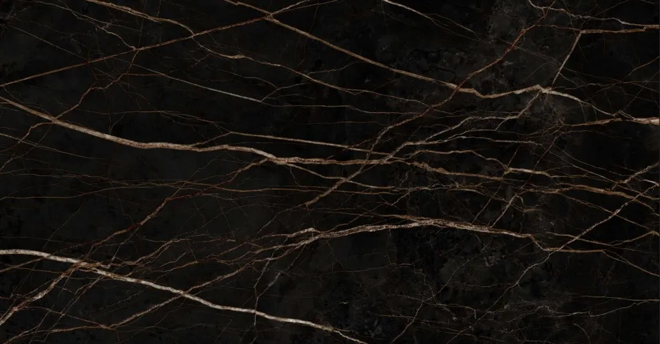 聖羅蘭黑金 St.Laurent