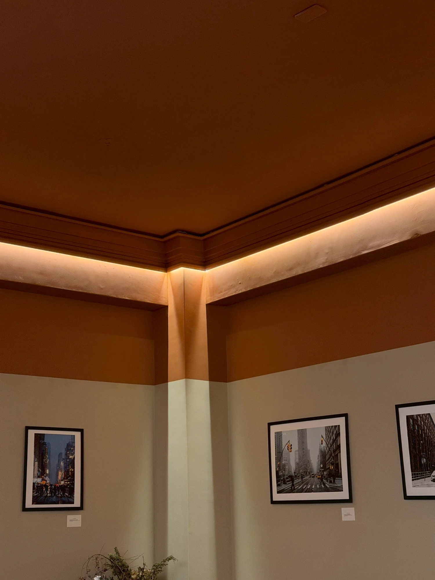 newsstand模範社區