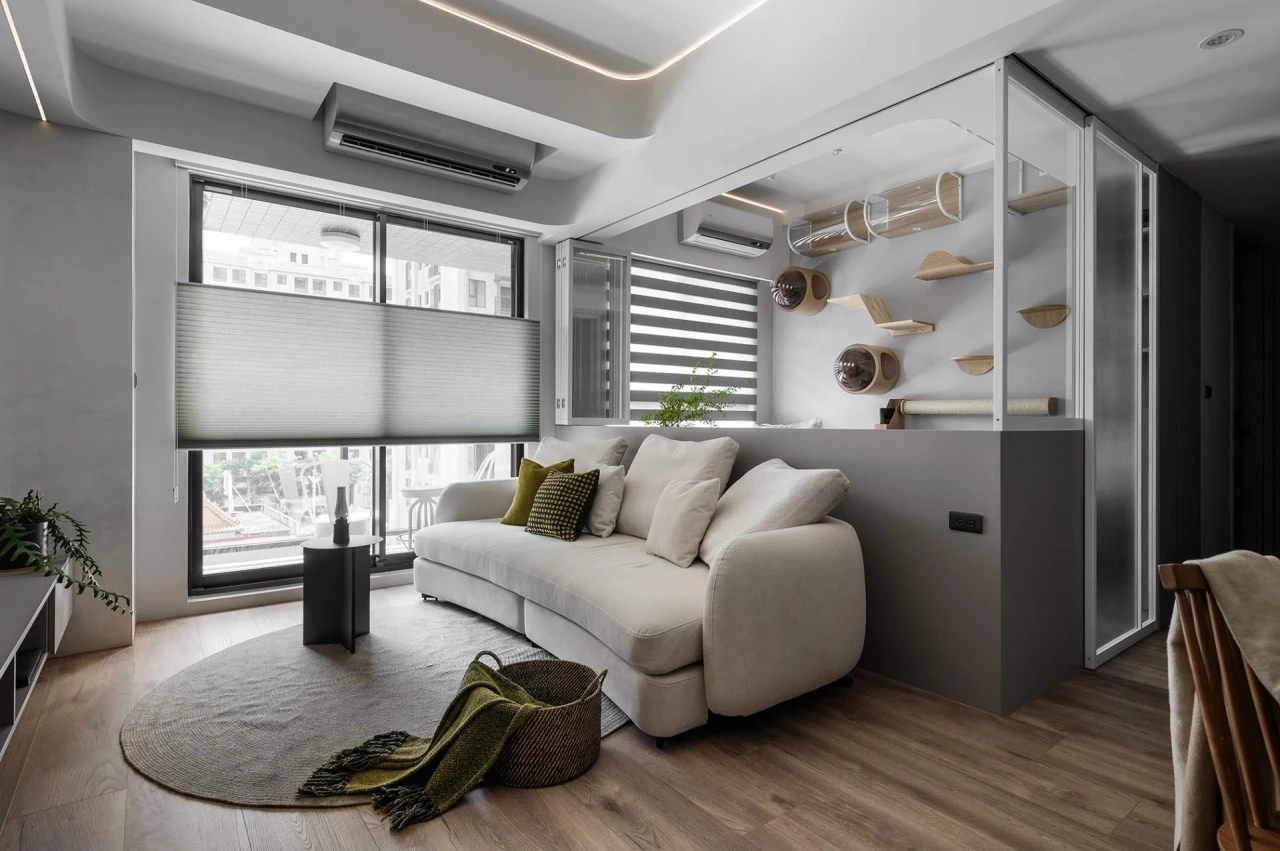 Lazy Shimmer 慵懶微光