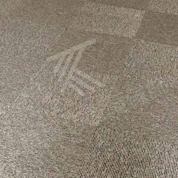 【耐磨塑膠地磚】【方塊地毯】【灰色亞麻窗紗】【3