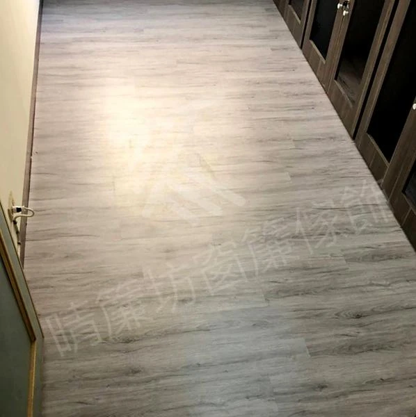 【塑膠地磚】員林市 寵物旅館裝潢設計案