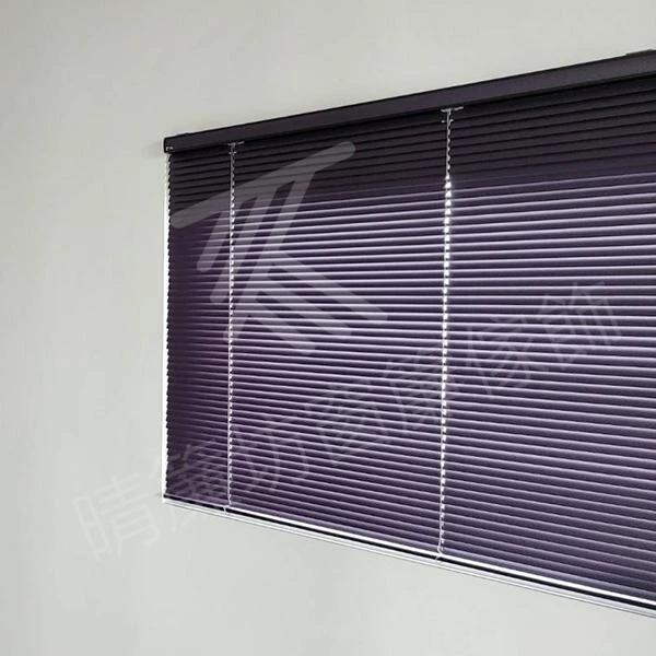 【雙重奏風琴簾】【16mm珠鍊百葉窗】【電動遙控蛇形軌道】【進口無縫蛇行簾遮光布】【進口無縫遮光布】【標準型風琴簾】【樓