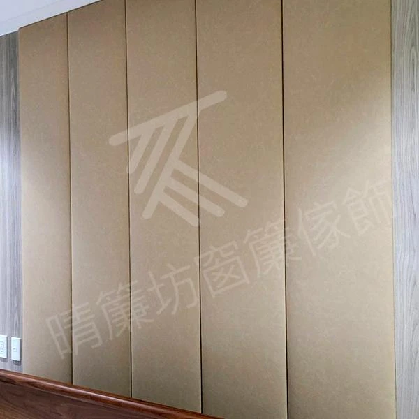 【雙重奏風琴簾】【16mm珠鍊百葉窗】【電動遙控蛇形軌道】【進口無縫蛇行簾遮光布】【進口無縫遮光布】【標準型風琴簾】【樓