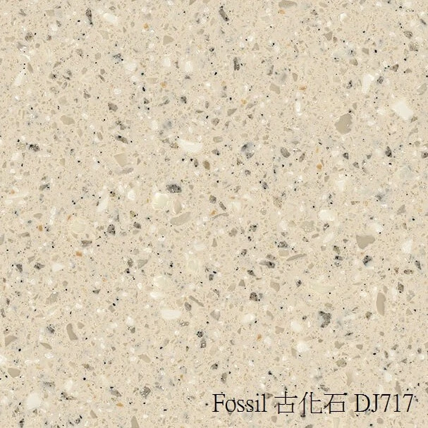 Fossil-古化石