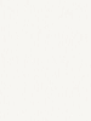 系統板材 W5525SM