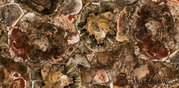 檯面 Petrified-Wood