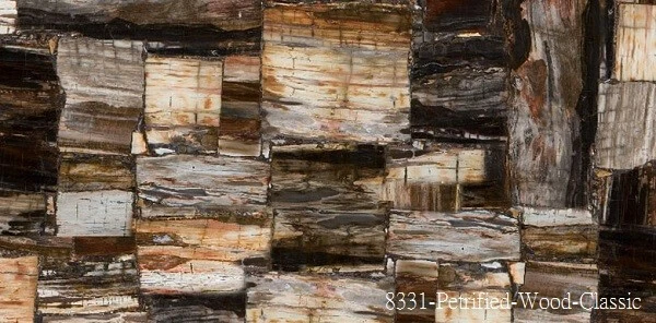 檯面 Petrified-Wood-Classic