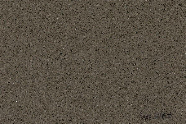 Sage-鼠尾草